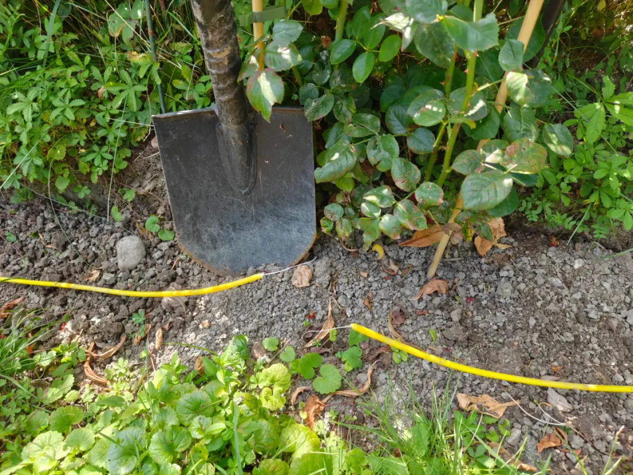 Severed fiber optic cable in garden requiring emergency repair