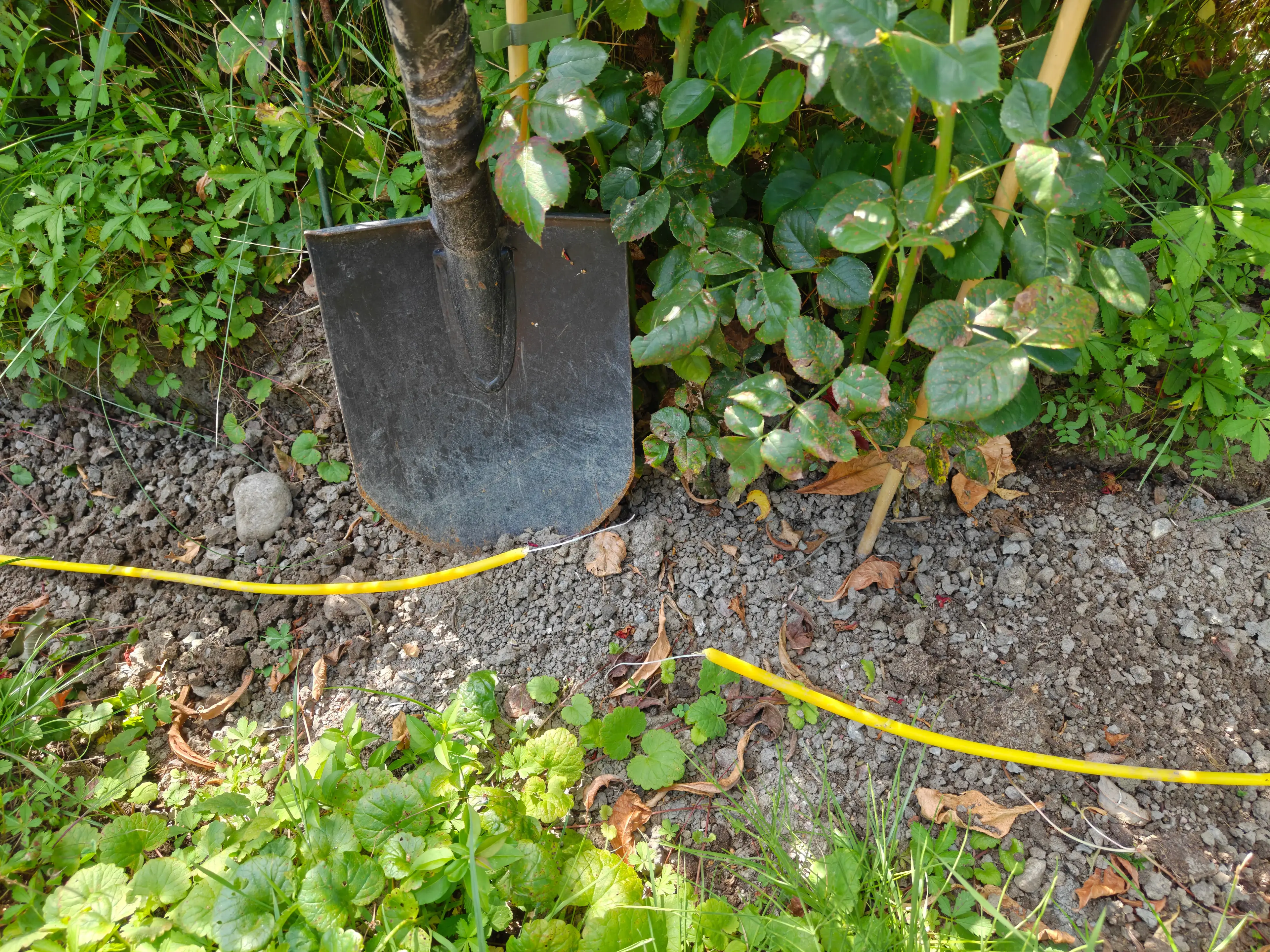 Cut or Damaged Fiber Cable: How to Fix Accidents in the Garden and at Home