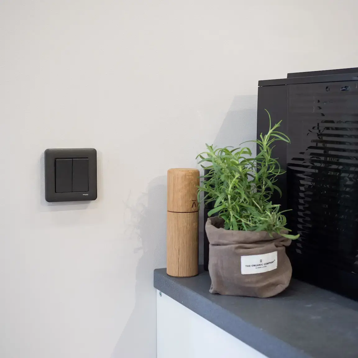 Schneider Exxact wall switch with built-in Plejd module
